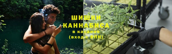 дживик Елизово