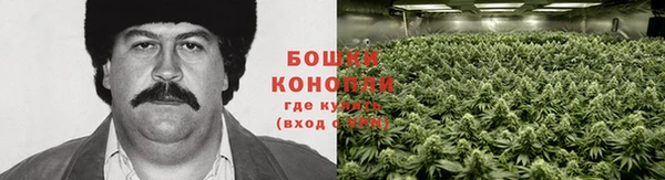 стафф Елабуга