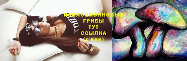 дживик Елизово