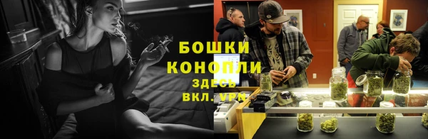 дживик Елизово