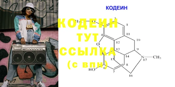 эйфоретик Ельня