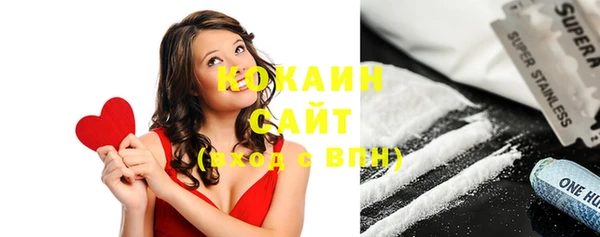 эйфоретик Ельня