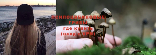 стафф Елабуга
