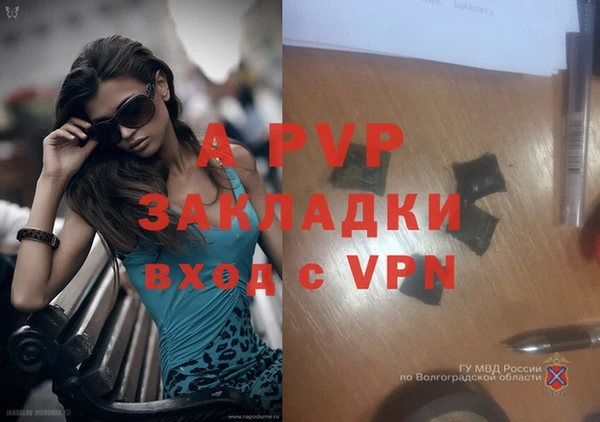 эйфоретик Ельня