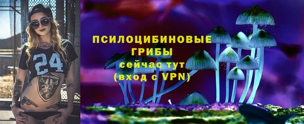 дживик Елизово