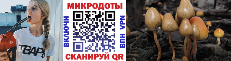 Купить закладки  Махачкала  Галлюциногенные грибы MAGIC MUSHROOMS 